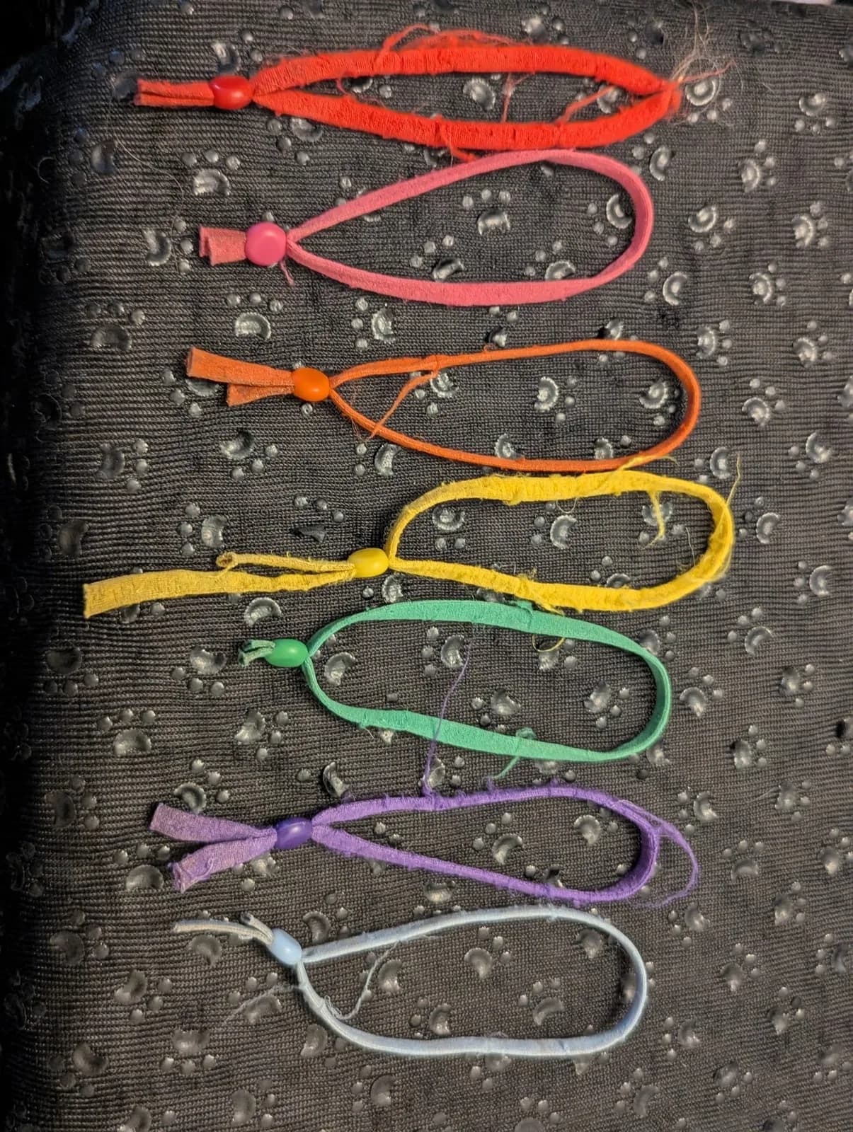 Boise Doodle Co 63